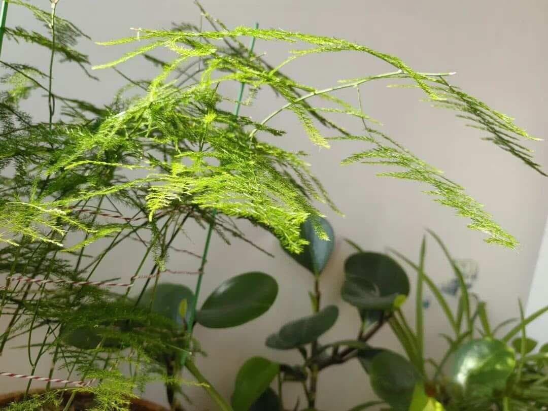 古诗词中35种修辞方法为作品增色添香