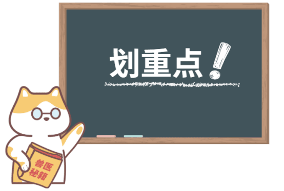 猫掉毛秃了一块怎么办？超全解决攻略