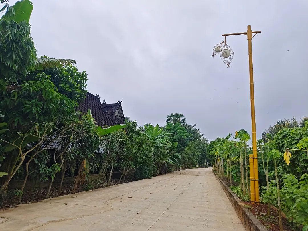 西双版纳“三曼乡村旅游综合体”：解锁乡村振兴“双赢”密码