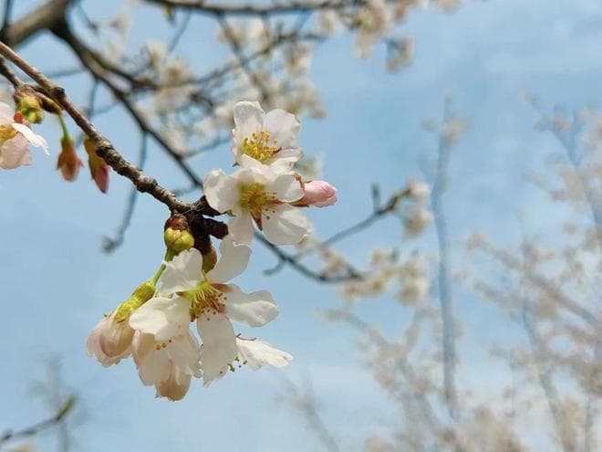 忠诚、洞察与魅力：信陵君领导智慧启迪现代企业管理