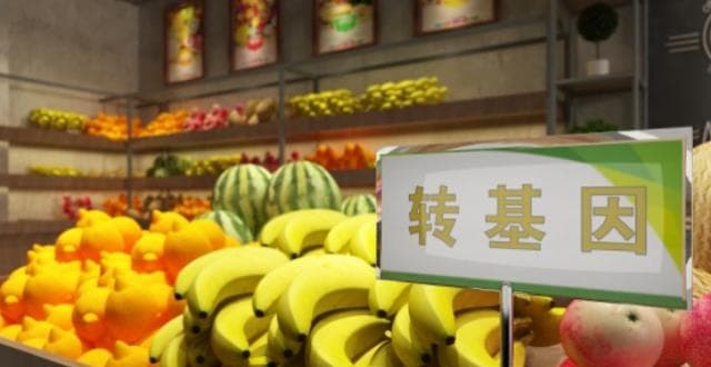 首批转基因粮食作物获批，它离我们的餐桌有多远？｜餐桌上的物种