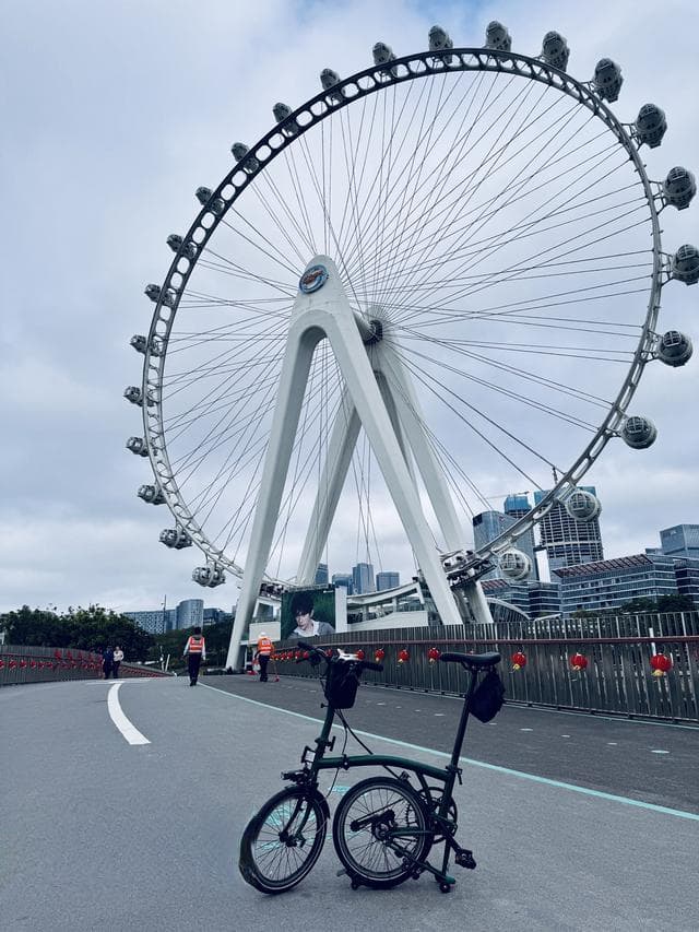 畅骑山海打卡“金蛇”，骑行深圳成为新春“爆款”