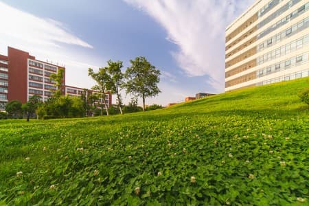 2025年北京随迁子女高考材料清单下载方式盘点，了解北京异地高考办理条件！
