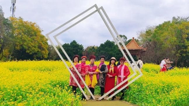柳州春季赏花全攻略：五大公园花卉景观与拍摄指南