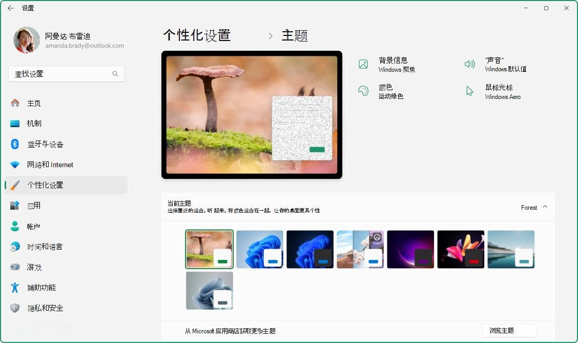 使用主题个性化 Windows