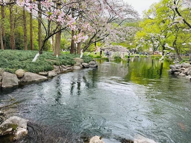 春天的诗意：大自然的复苏