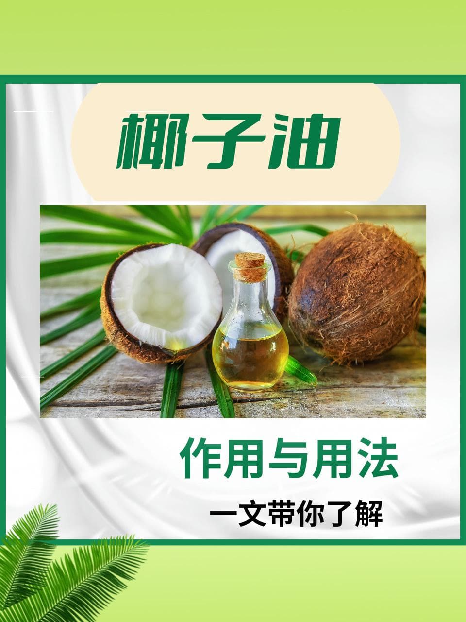 椰子油：作用与用法，一文带你了解！
