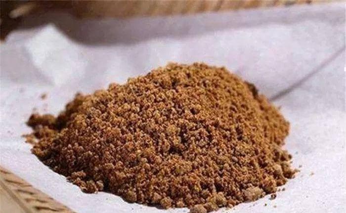 钓鱼饵料指南：各种饵料特点与使用技巧