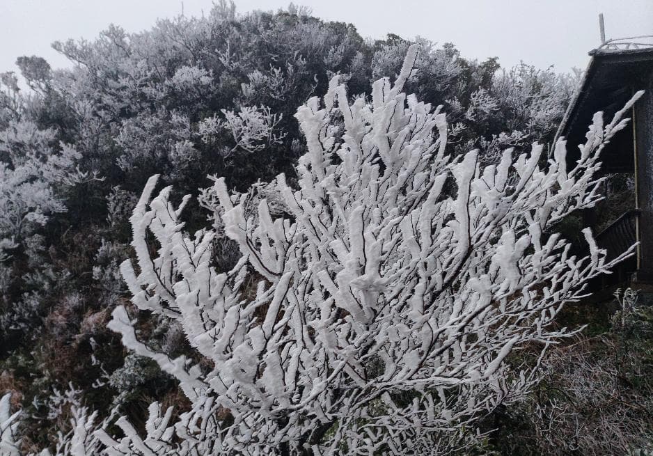南宁大明山景区出现小范围冰凌雾凇景观，可自驾入园