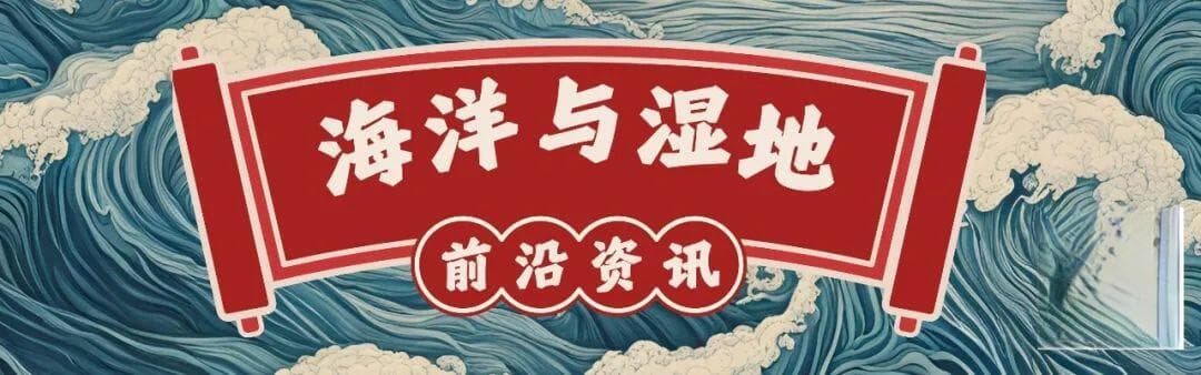 须鲸迁徙：从极地到热带的营养输送与海洋生态塑造