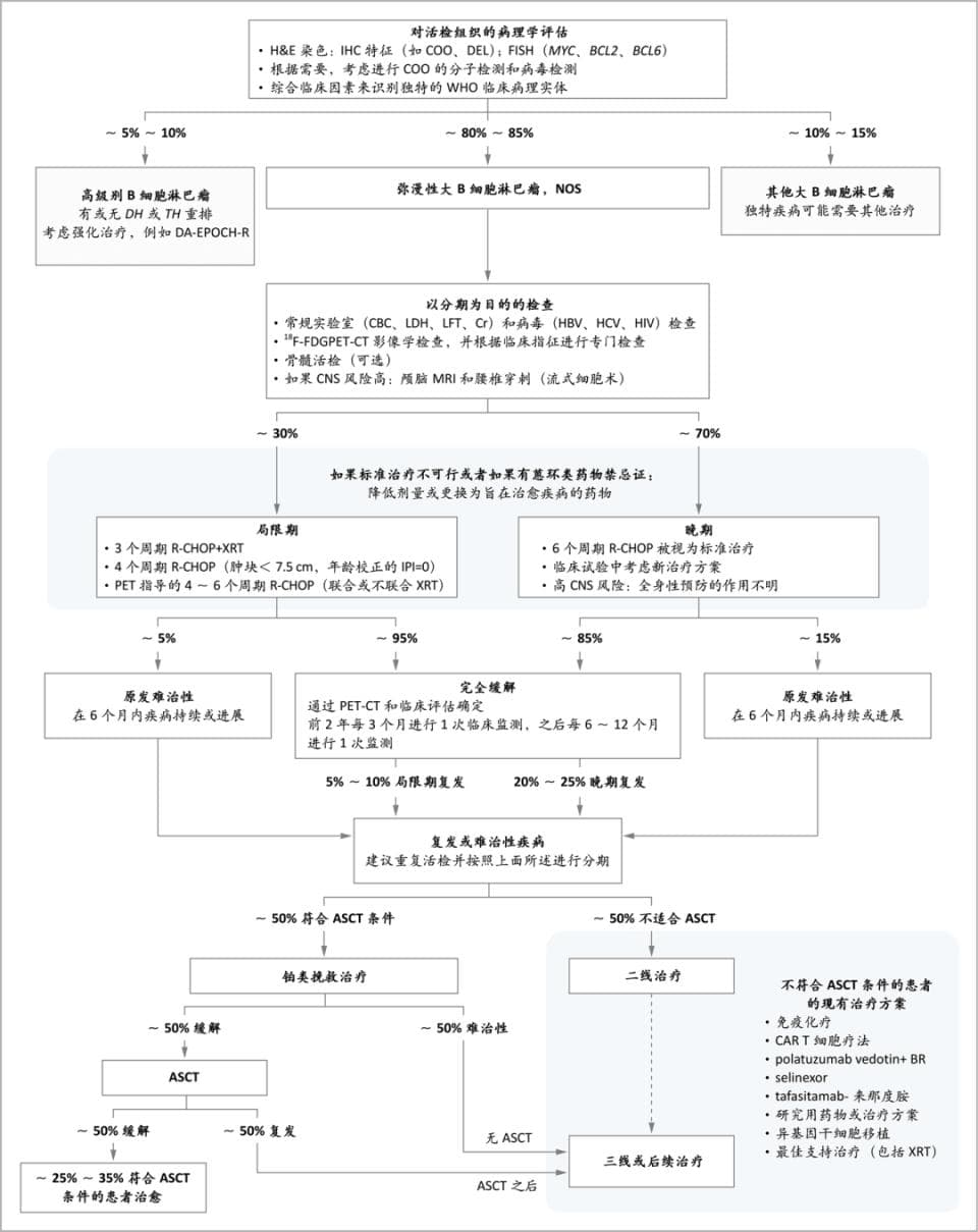 超详细的弥漫性大B细胞淋巴瘤（DLBCL）综述！你想知道的都在这！