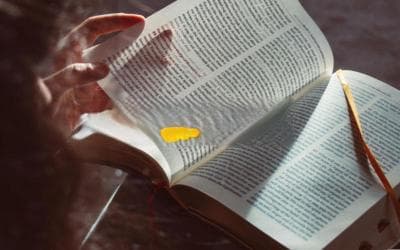 揭秘三角函数：一个角度，如何影响了整个数学世界？