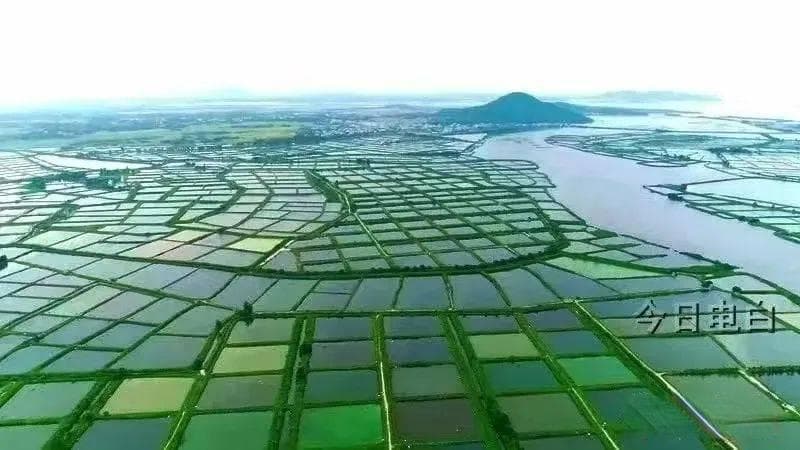 电白：依托丰富海洋资源，引领海洋经济新发展