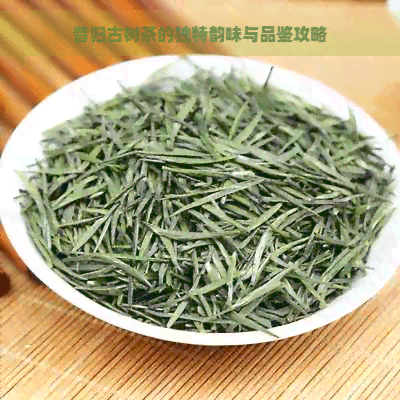 昔归古树茶的独特韵味与品鉴攻略