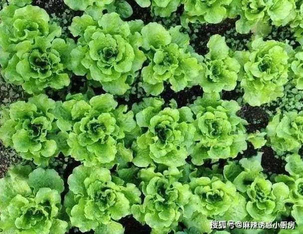6种黏糊糊的食物不容错过，常吃润肠减肥降三高