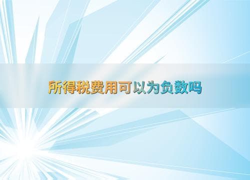 所得税费用可以为负数吗