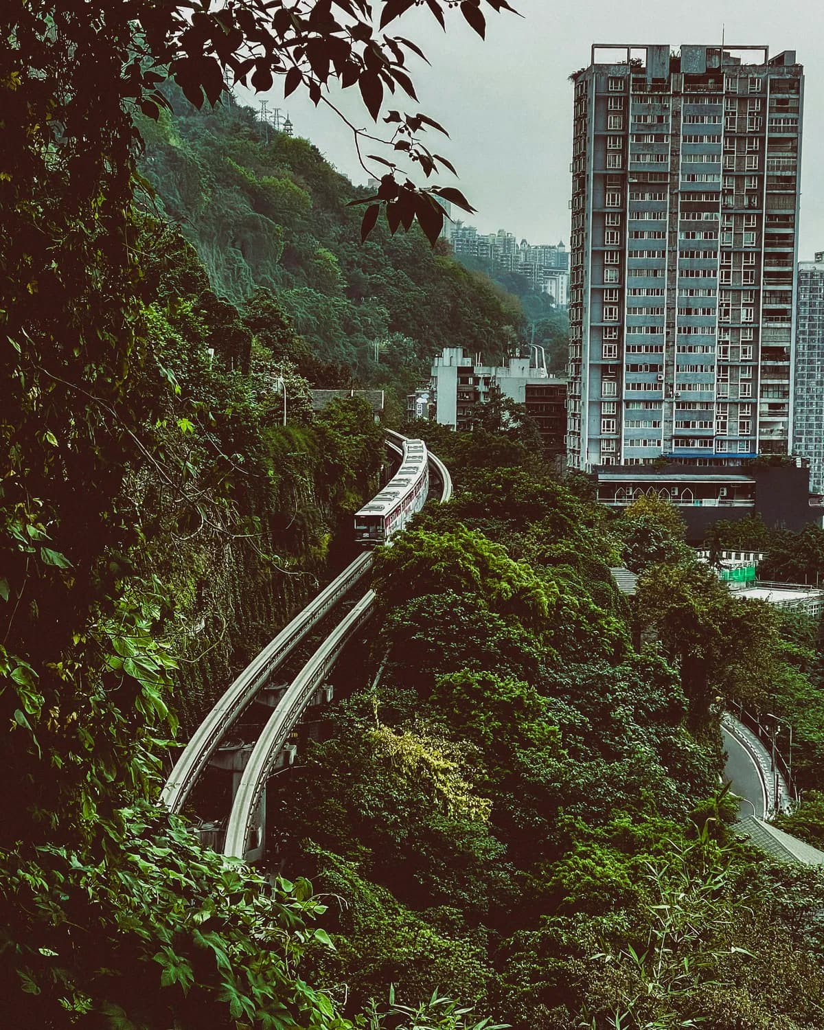 重庆山城步道：串联历史与现代的神奇步道