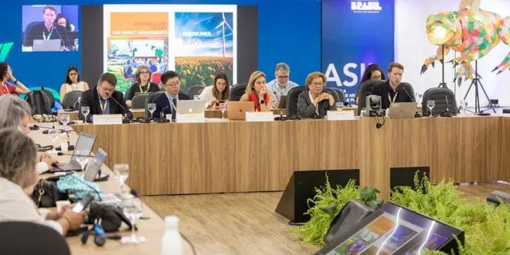 G20峰会首次聚焦文化遗产与气候行动，多国共商保护策略