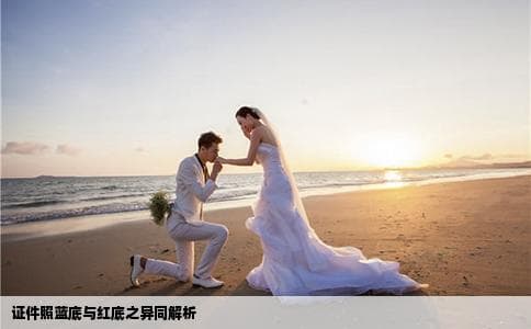 证件照蓝底与红底之异同解析