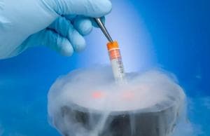 孕妇必吃的12种水果，刚怀孕吃什么水果好？