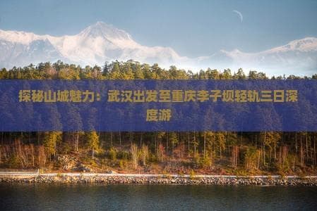武汉至重庆三日游深度攻略：从李子坝轻轨到武隆天生三桥