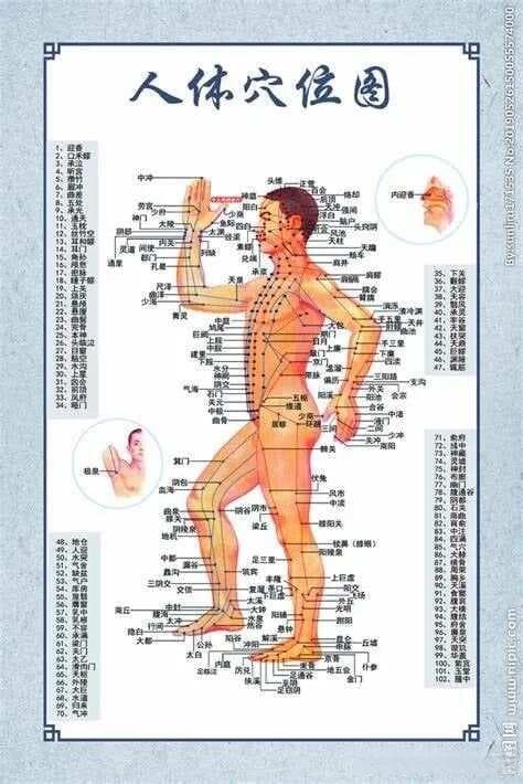 中医穴位汇总：一看就懂！