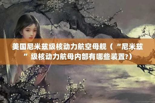 美国尼米兹级核动力航空母舰（“尼米兹”级核动力航母内部有哪些装置?）