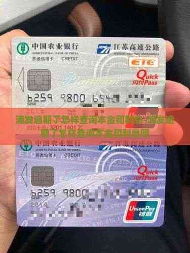 浦发银行逾期查询指南：本金和利息如何查询？