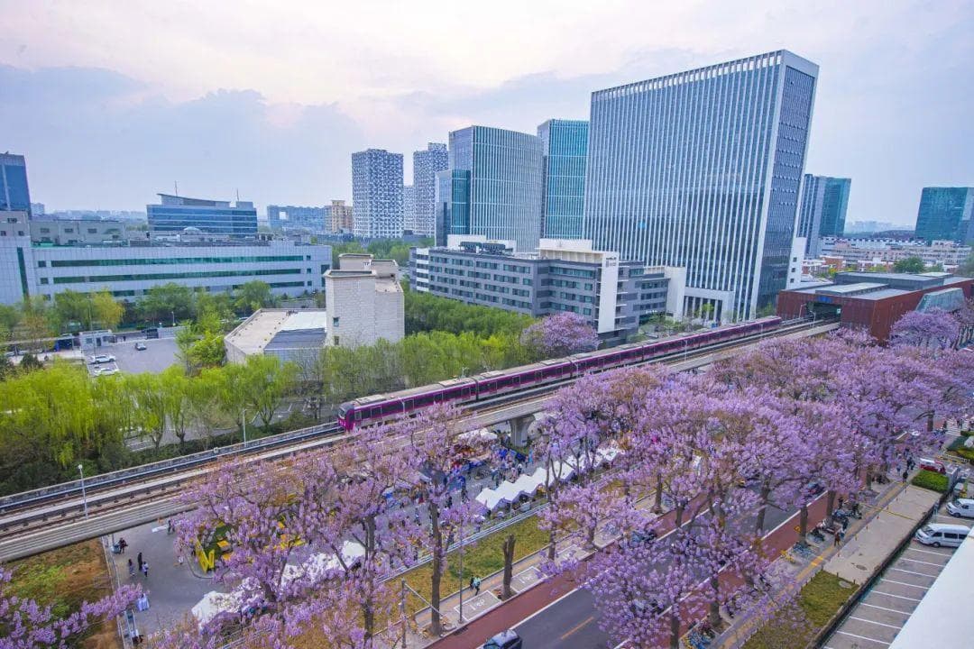 “地铁万源街站点周边片区更新项目” 获评市级城市更新“最佳实践案例”