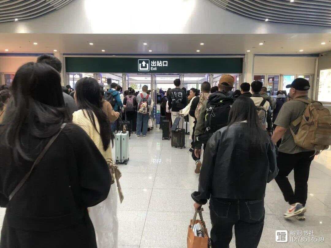 以躺平之姿，拥积极人生：探寻当代年轻人的生活哲学