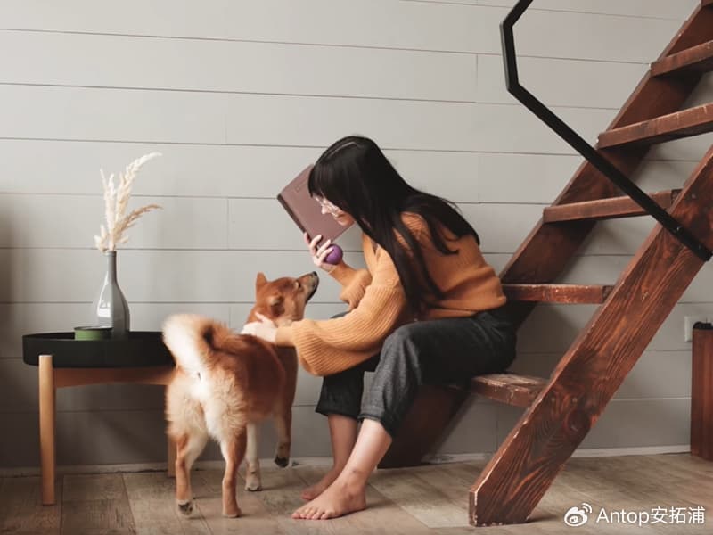宠物空气净化器：好处与问题全解析