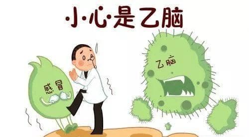 乙脑进入流行季，儿童易中招！如何防护？看这里→