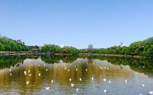 昆明翠湖公园：镶嵌在春城的一颗绿宝石