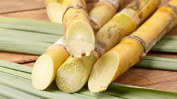 维生素K的食物和水果有哪些？一文详解维生素K的来源与摄入注意事项