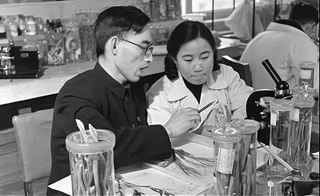 屠呦呦：青蒿素之母的科学人生