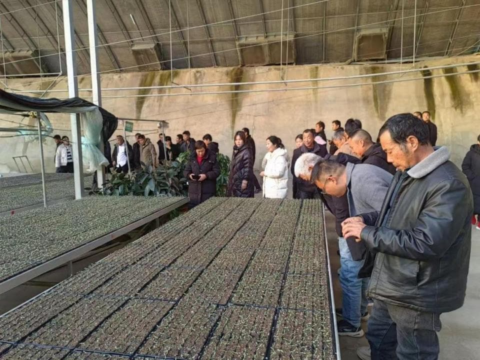 新野县开展农业技术员技能培训，助力现代农业发展