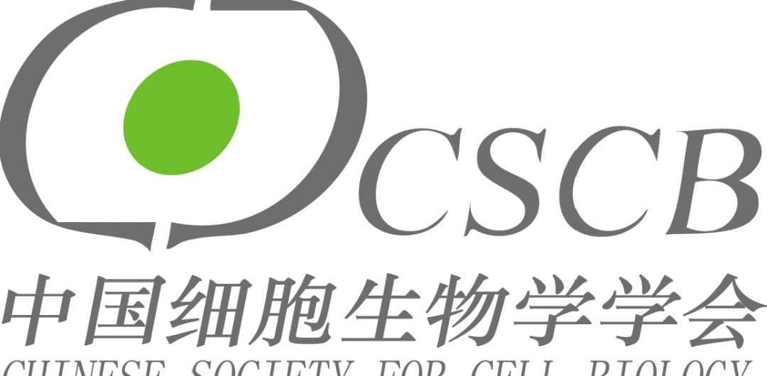 线粒体调控卵母细胞发育潜能的研究进展