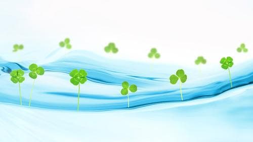 浅谈小学语文作文教学方法