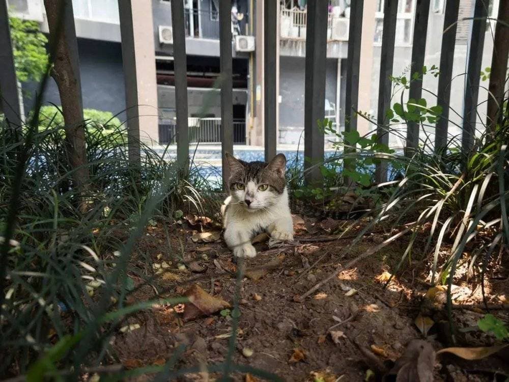 春节手机摄影自救指南：让你在朋友圈脱颖而出
