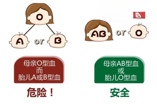 准妈妈准爸爸必读：新生儿溶血病的成因、症状与预防
