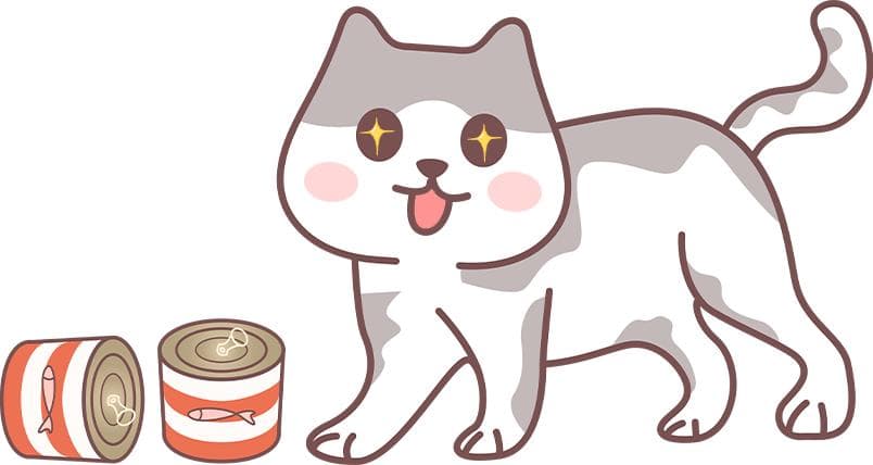 猫咪牙结石怎么去除？这些护理方法你必须知道