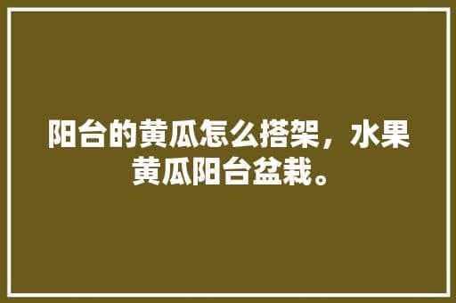 阳台种瓜指南：从支架搭建到日常管理的完整攻略