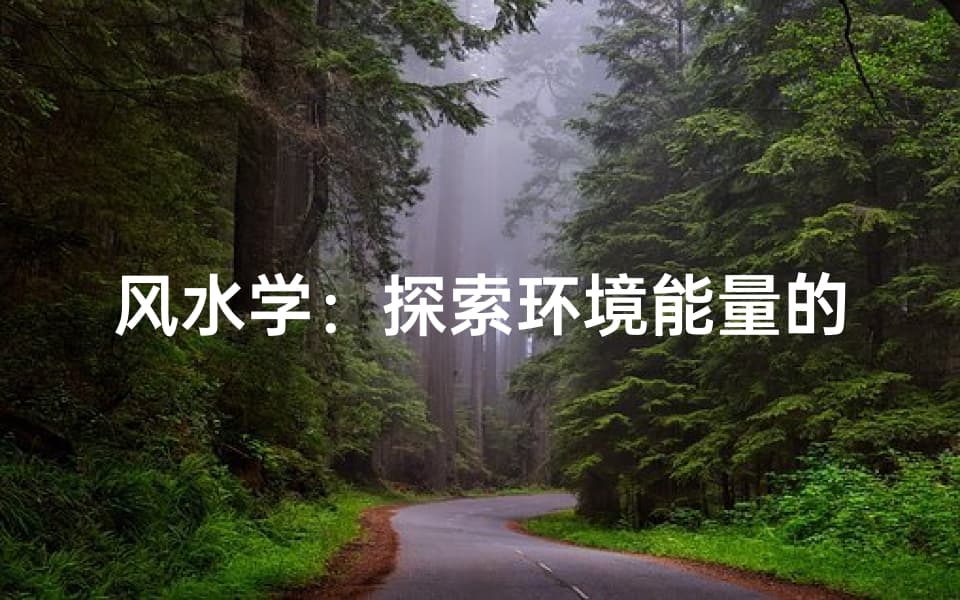 风水学：探索环境能量的奥秘