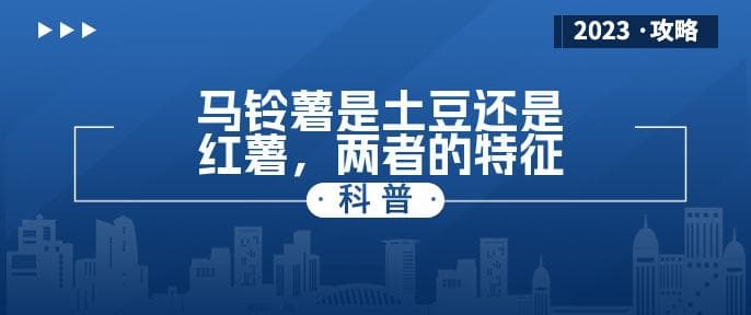 马铃薯是土豆还是红薯，两者的特征
