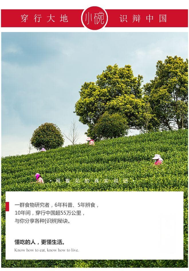 春节后春困、上火？5杯最适合春天喝的茶饮，多喝！