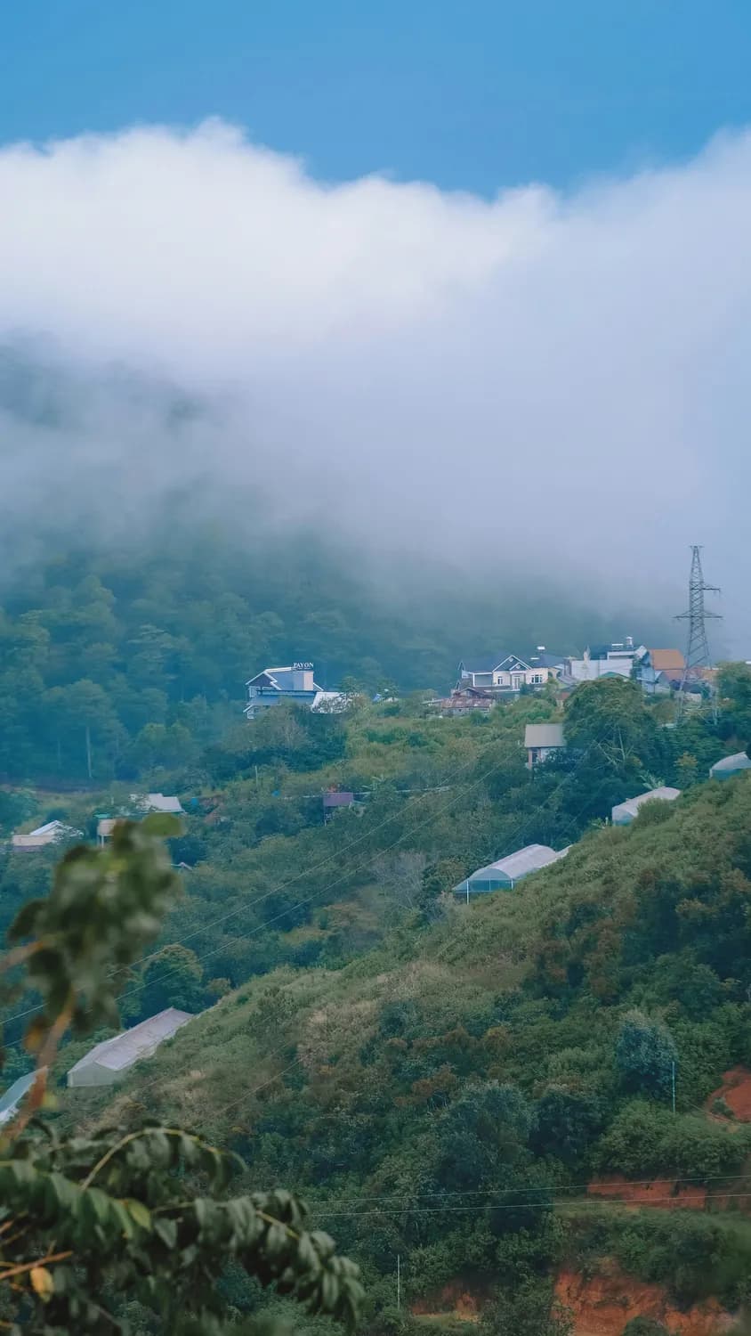 莫干山江南瑶坞：团建&亲子游新宠