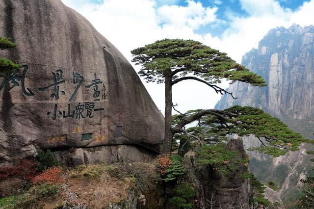 黄山四绝分别指什么？黄山有哪些奇石？