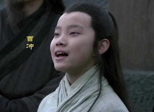 曹冲之死究竟是怎么回事？真相是怎样的？