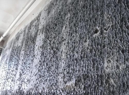 房屋墙面翻新最简单方法