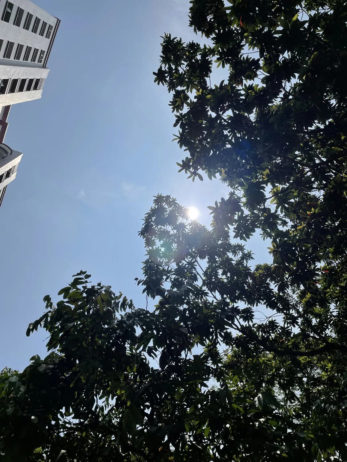 重庆未来一周高温预警：出行攻略大揭秘！